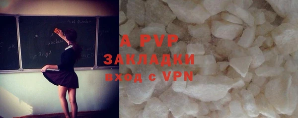 a pvp Богданович